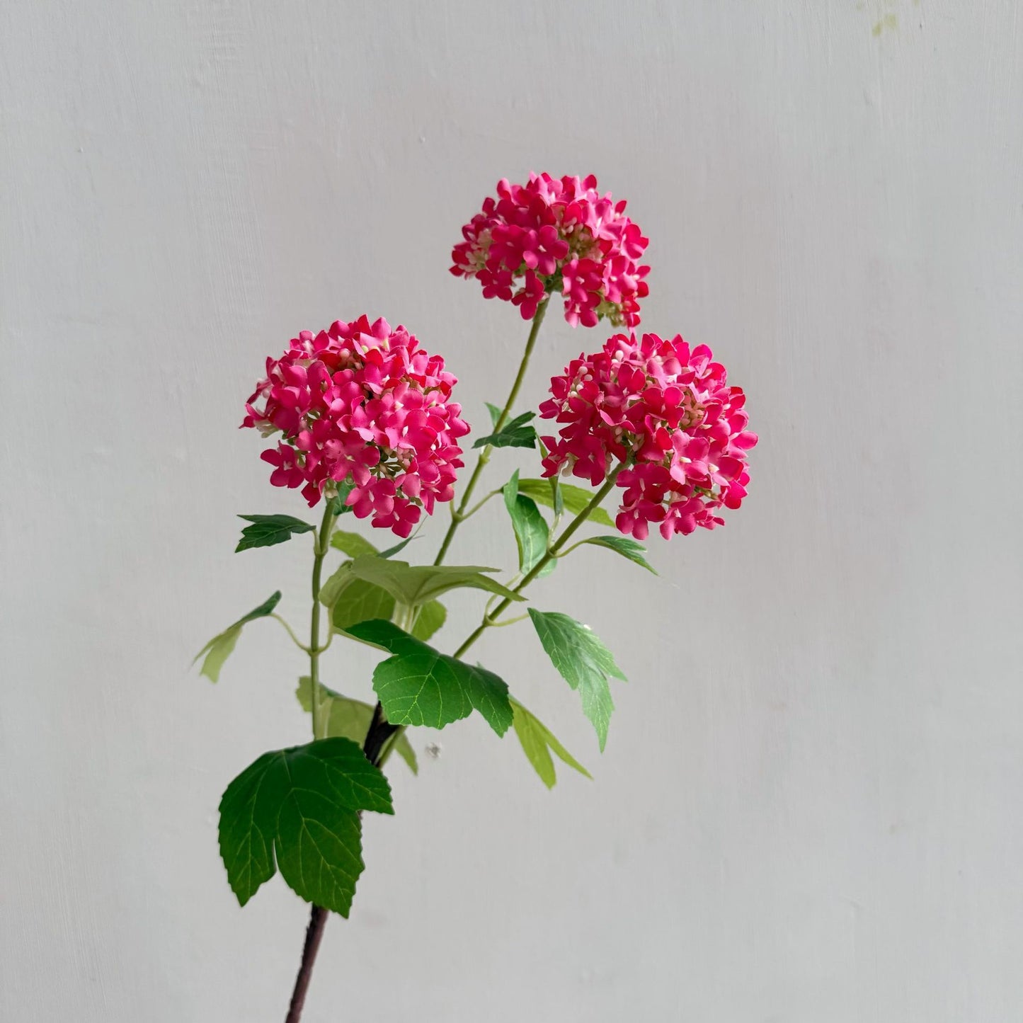 Flowers Hydrangeas SnowballsSmall  Home Furnishings