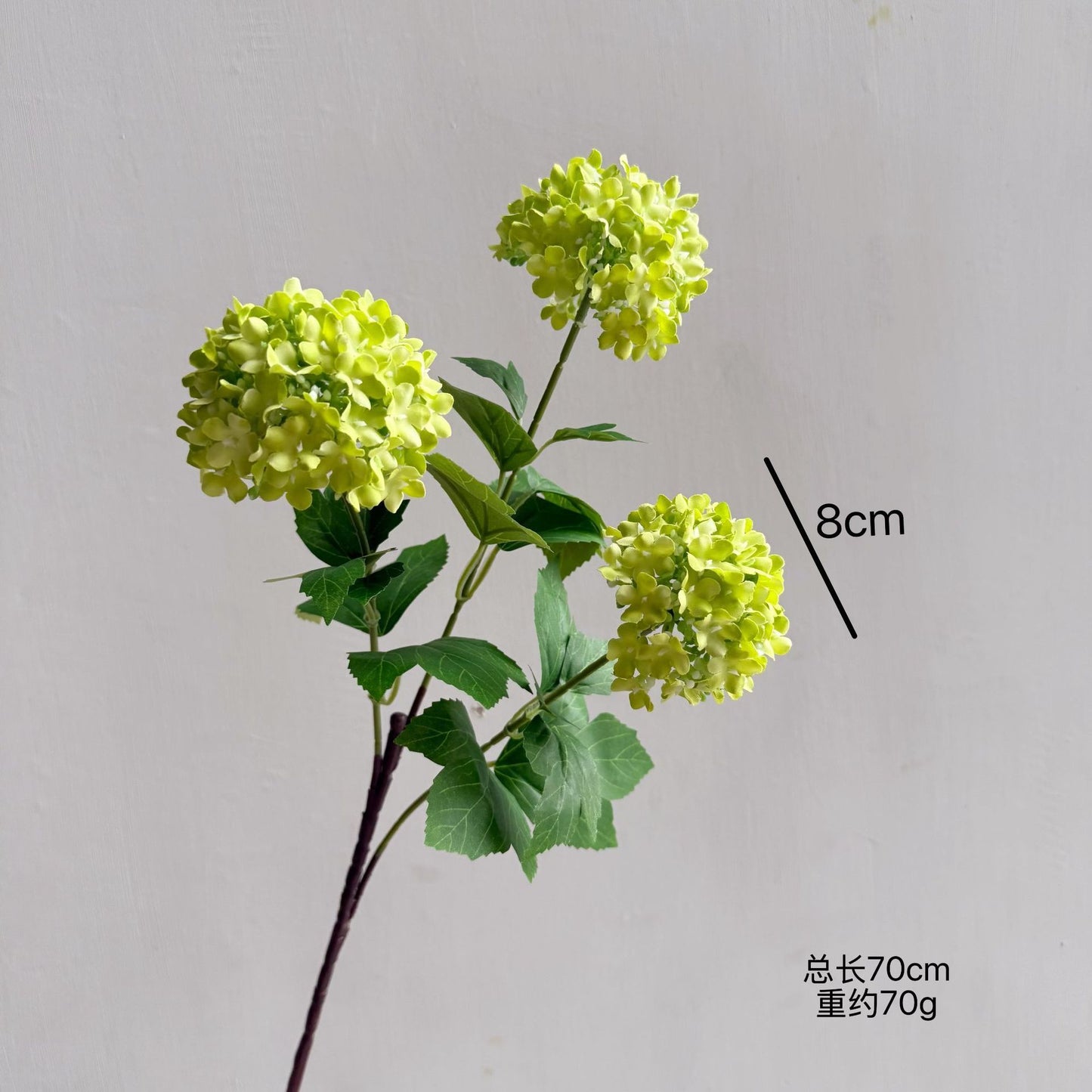 Flowers Hydrangeas SnowballsSmall  Home Furnishings